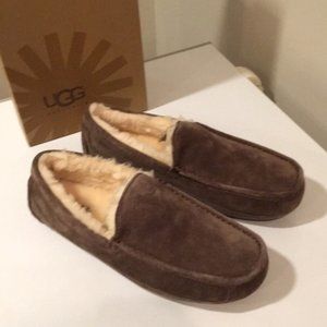 ❤️ New ugg Ascot Espresso water resistant suede